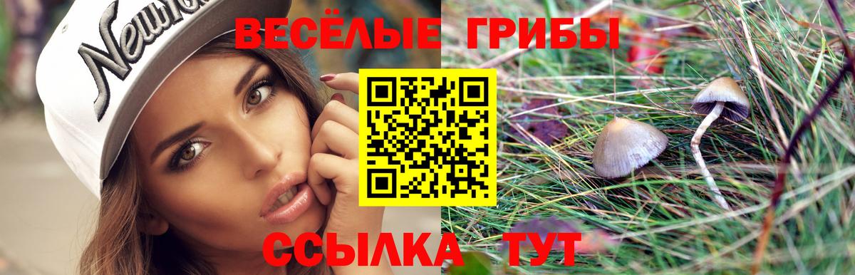 Псков  Псилоцибиновые грибы мицелий  Псилоцибиновые грибы MAGIC MUSHROOMS  Вход с VPN 